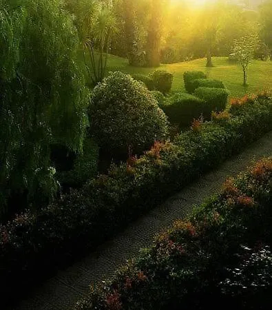 Tenuta Tropeano リゾート サンタ・ドメーニカ