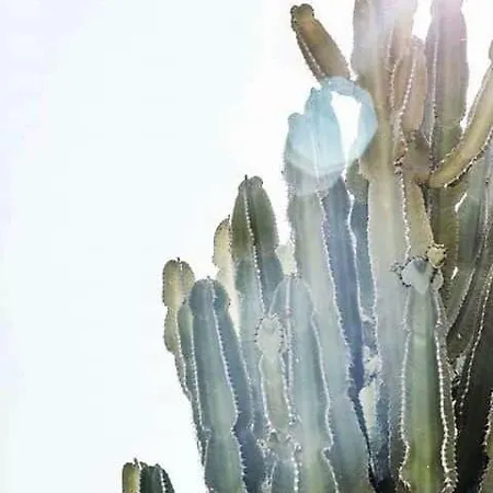 度假村 Tenuta Tropeano 圣多米尼卡
