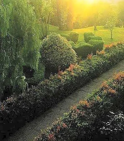 Tenuta Tropeano