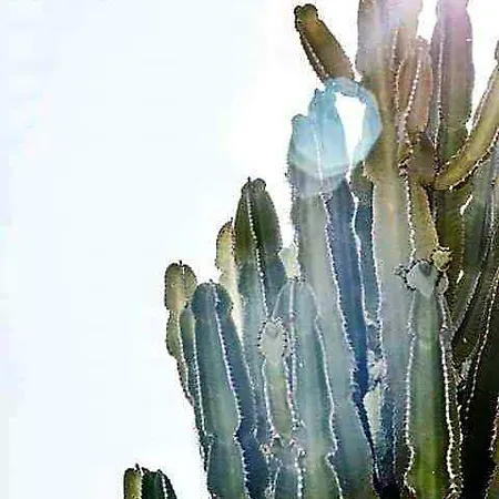 Tenuta Tropeano リゾート